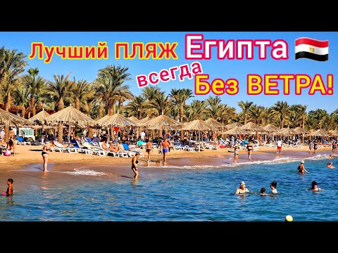 ЛУЧШИЙ пляж в Египте ?? Мы в ШОКЕ❗️Пляж отеля Sharm Dreams Resort 5*, бухта Наама Бей, Шарм эль Шейх