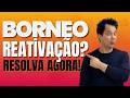 RENOVAÇÃO BORNEO Schematics🔄Sem Erro✅