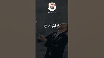 سورة فصلت - خالد الجليل تلاوة خاشعة