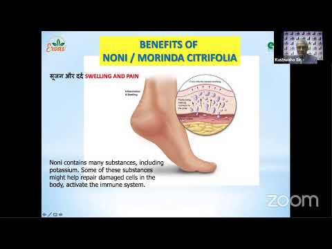 Video: Elf Noni