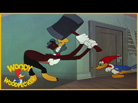 Woody Woodpecker Classic | Slingshot 6 7/8 | Full Episodes