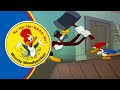 Woody Woodpecker Classic Slingshot 6 7 8 Full Episodes 