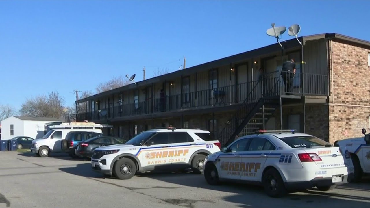 Woman and man dead in apparent murder-suicide - YouTube