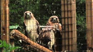 Harris Nature Center SciencePrograms