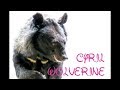 Cyril Wolverine Rick Wakeman And Animals Asia mp3