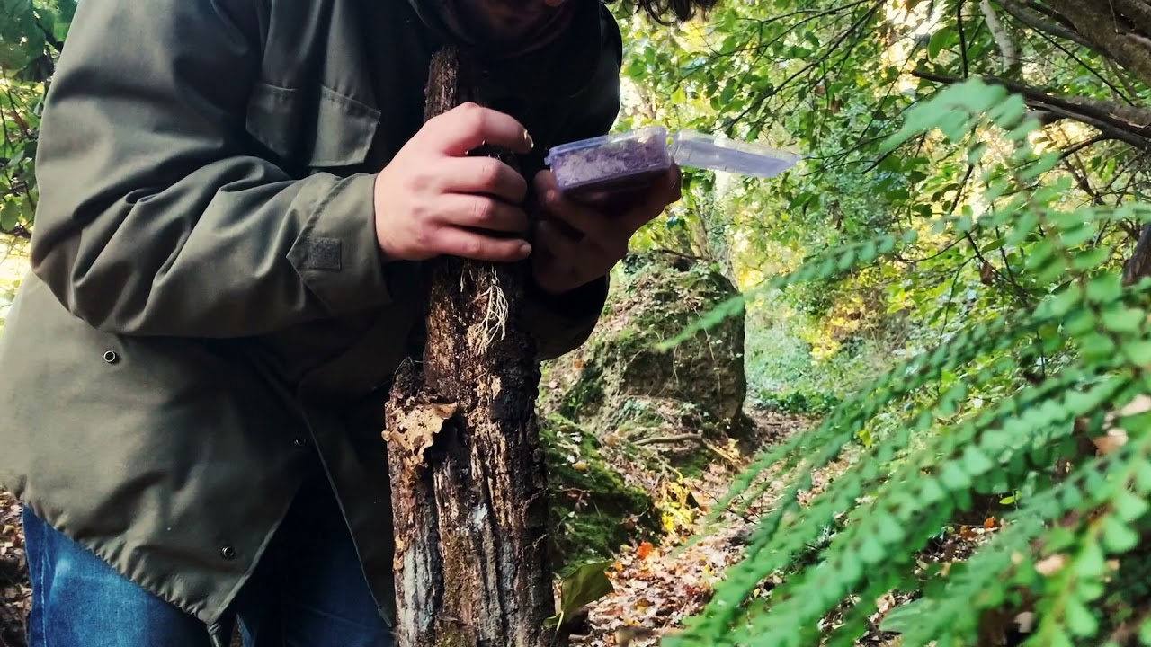 DIVARIO - Coming Soon!