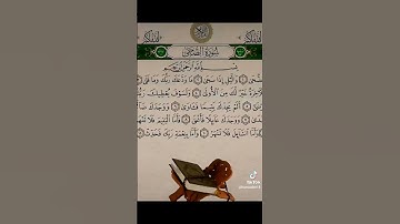 ما تيسر من القران الكريم #dosa #اكسبلور #المراه #duet #الغلا #دويتو #النظافه #تيك_توك #الورقات