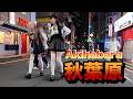 nightwalk in Akihabara【夜の秋葉原をお散歩】2026年7月24日