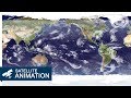 2004 Worldwide Satellite Animation