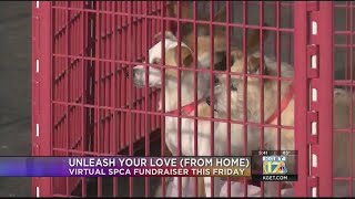 Unleash Your Love from Home
