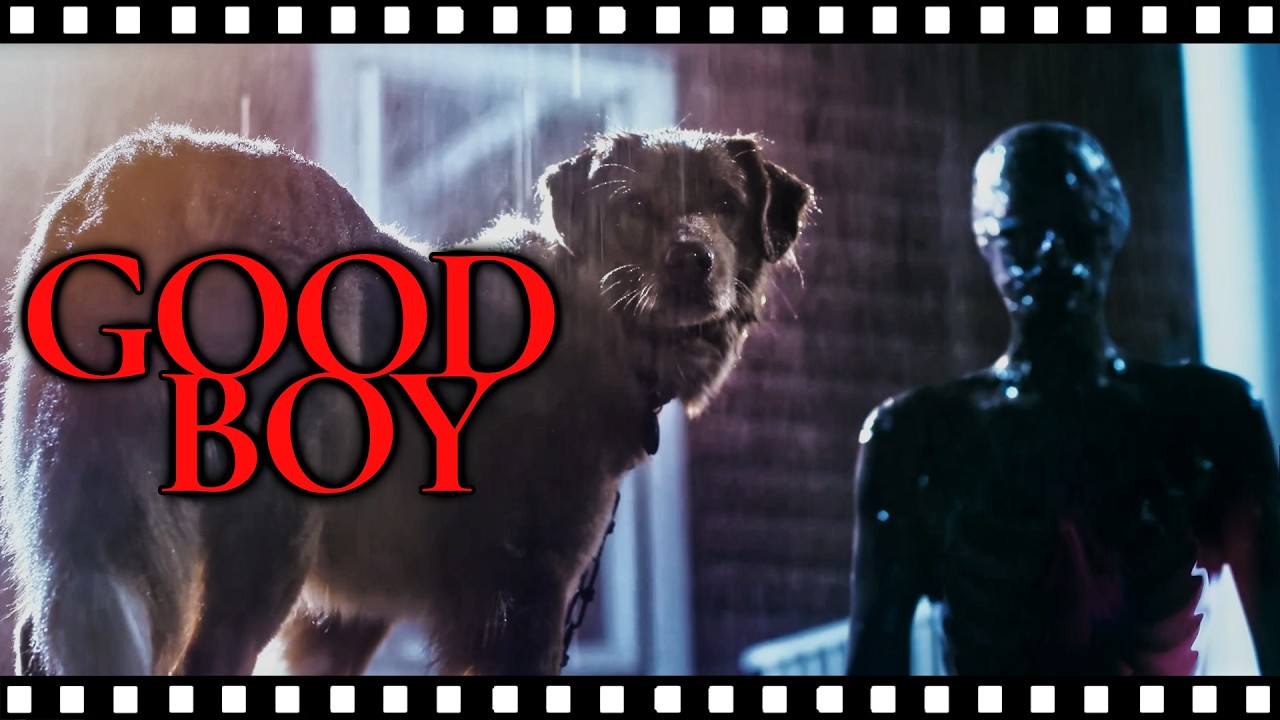 GOOD BOY: How A Dog Smells Death