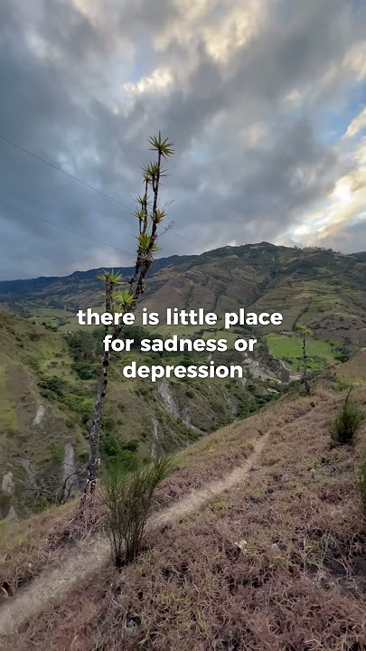In the mountains 🏔️today. #motivation #quotes #sad #mindset #explorepage #shorts #nature #mountain