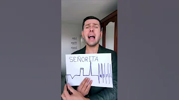 Senorita Cover Song (Harel Asaf) - #cover #song #thebest #short #funny #music