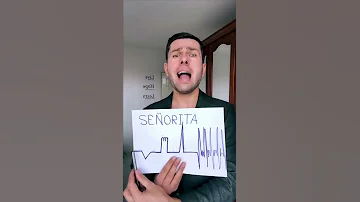 Senorita Cover Song Harel Asaf Cover Song Thebest Short Funny Music 