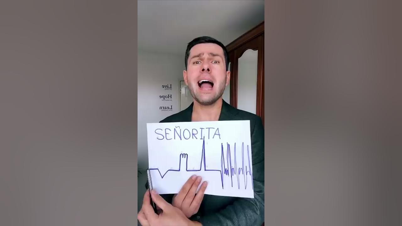 Senorita Cover Song (Harel Asaf) - #cover #song #thebest #short #funny #music