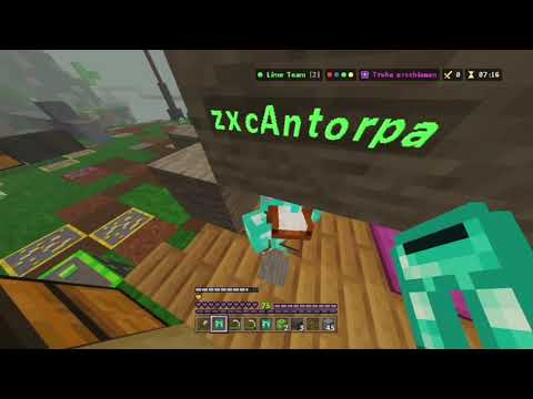 the best hive teammate
