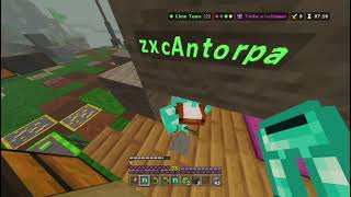 the best hive teammate