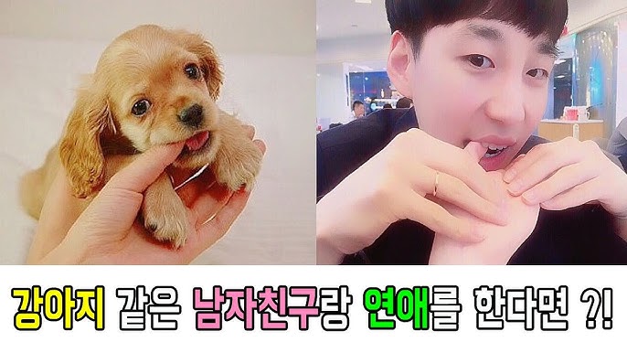 남자친구를 위한 강아지 헤어스타일 연출법 가을/겨울 트렌드 추천