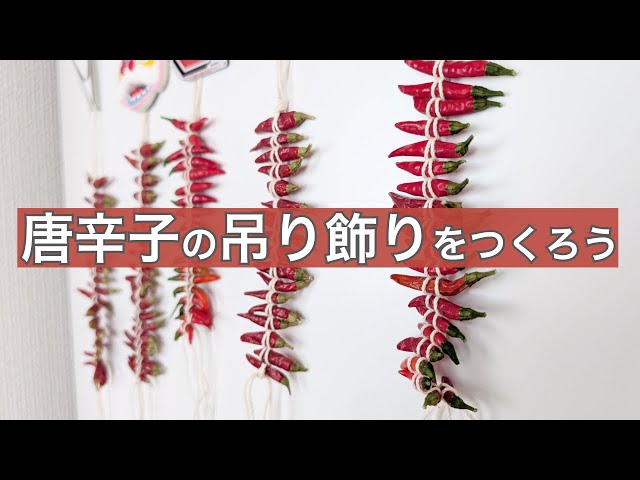 唐辛子を紐でむすんで吊り飾りをつくろう🌶️ - YouTube