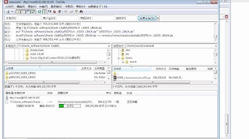 02.12_Oracle_10gR2_RACDG_2.12 Download Oracle RAC 10g Software(2012_01_13).flv