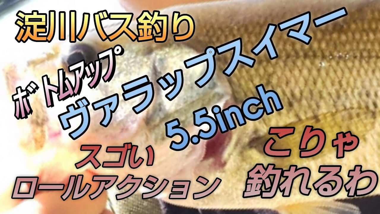 淀川バス釣り👍ﾎﾞﾄﾑｱｯﾌﾟ ヴァラップスイマー5.5inch こりゃ 釣れるわ👍スゴいですの 一言😃