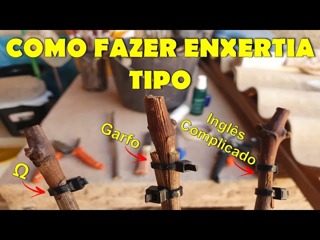 Diferentes técnicas de enxertia - Ômega, Garfo e Inglês complicado