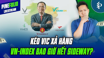 Xu hướng của VN-Index trong thời gian tới như thế nào? | Livestream Pinefolio