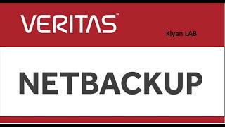 First look at Netbackup web UI (interface)