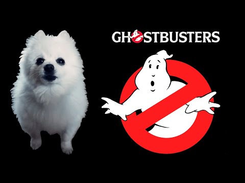 Vídeo: O Orçamento Do Ghostbusters Era De US $ 15 Milhões - US $ 20 Milhões