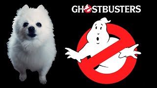 Ghostbusters em cachorrês | ESPECIAL HALLOWEEN