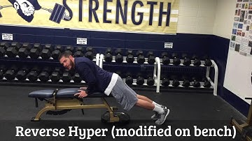 Reverse Hyper (modified on bench)