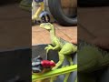 Hunting Velociraptor, Atrociraptor, Allosaurus, Kentrossurus, Dilophosaurus and more