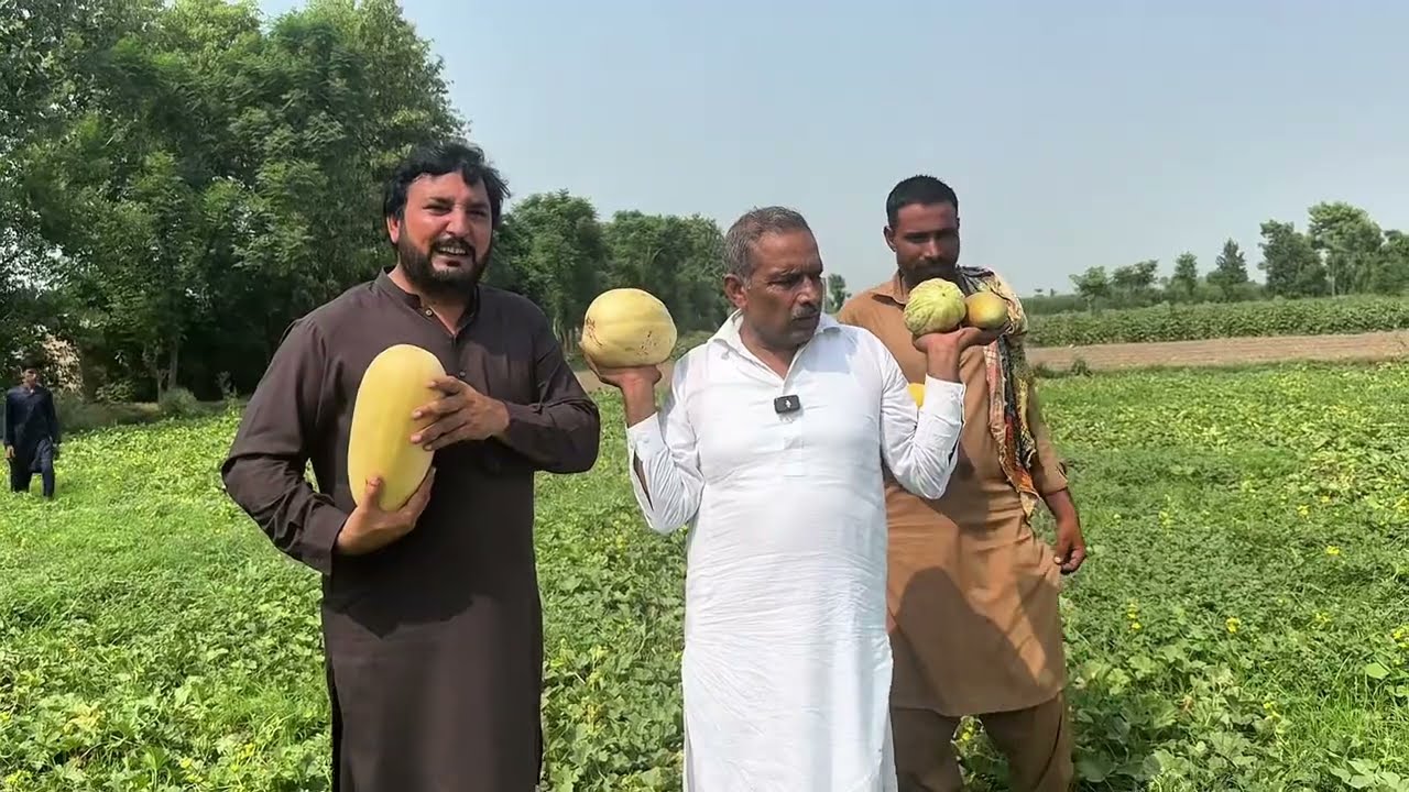 Anjum Saroya Ne Wakhya Phut ( Snap Melon ) Da Khet | Anjum Saroya New Vlog