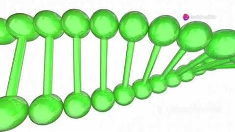 The DNA and RNA Show! Unraveling Life