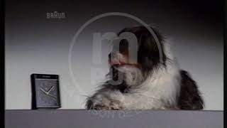 Braun Clocks : Dog (Allemagne, 1988)