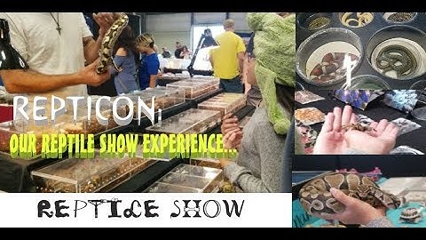 REPTICON: OUR REPTILE SHOW EXPERIENCE|KIDS GOT A NEW PET