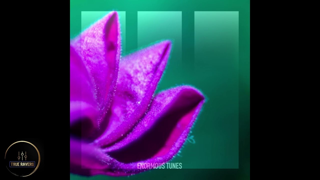 Watch Passenger 10 - Sublime on YouTube Watch Passenger 10 - Sublime on YouTube