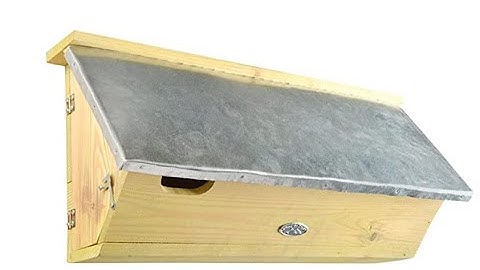 Swift nest box   - review and installation