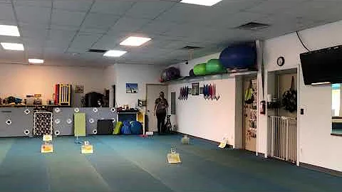 Kells Pegasus RIV 3 Intermediate