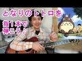 ギター初心者講座！となりのトトロを指１本で弾いてみた【tab有】