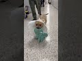 Update on Bia! [STORY BELOW]