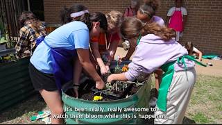 Full Lawton Public Schools: Crosby Park Gardening Guide