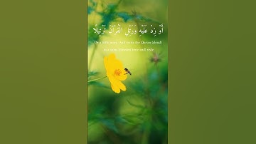 Al-Muzzammil |  سورة المزمل The Enshrouded One PART - 1verse 1-8