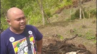 Ronda-Ronda Kebun Bapa Di Kampung Begu Padawan