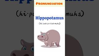 Hippopotamus 🦛 (Pronunciation)#english #shorts #shortsvideo