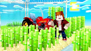 Minecraft Skyblock BIGGEST SUGAR CANE FARM in the pack? (Cosmic Sky #9)