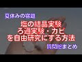 塩の結晶実験、ろ過実験、カビの研究を自由研究として完成させる方法