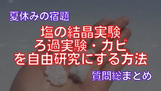 塩の結晶実験、ろ過実験、カビの研究を自由研究として完成させる方法