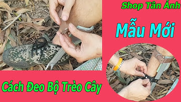 Hướng Dẫn Đeo Bộ TRèo cây Mẫu Mới, Cách Mang Bộ Guốc Trèo Cây Cao Cấp