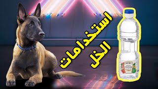 اهمية استخدامات الخل في حياة الكلاب ضروري جدا